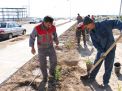 گزارش تصویری مراسم روز درخت کاری و تقدیر از نیروهای باغبانی دانشگاه